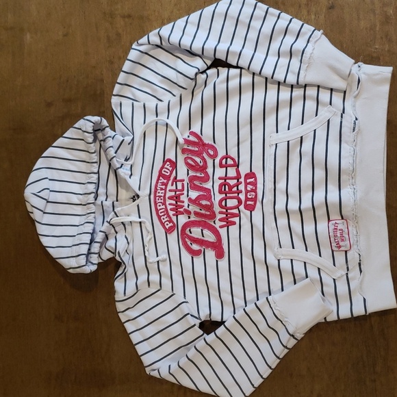 Disney Striped Disney World Hoodie Large - Picture 1 of 8
